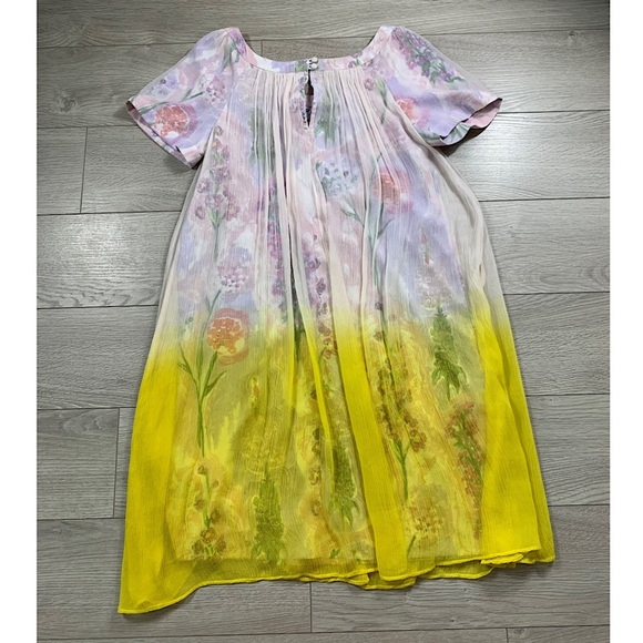 Anthropologie HD in Paris Ivory Ombre Chiffon Dress - Picture 6 of 14